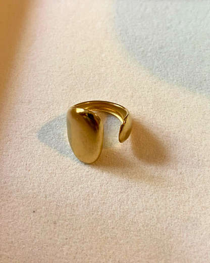 Golden Vault Ring- Adjustable
