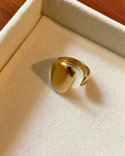 Golden Vault Ring- Adjustable